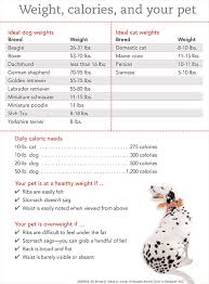 Ideal Weight Las Vegas Pet Weight Loss