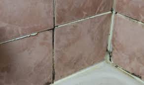 Mold And Mildew Off Bathroom Tile