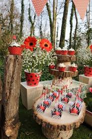 Ladybug Dessert Table On Love The Day