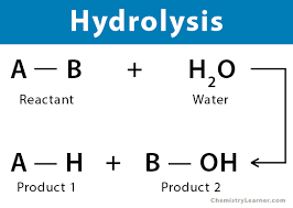 Hydrolysis Reaction Definition