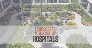 Landscape In And Around Hospitals Rtf