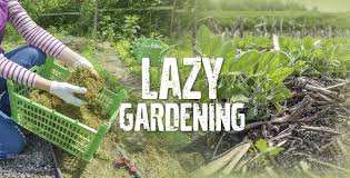 how to build a no work garden garden