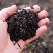 How To Prepare Soil For A Garden The