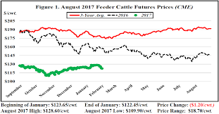 January Florida Cattle Market Price Watch Panhandle