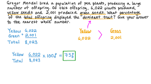 calculating phenotypic ratios