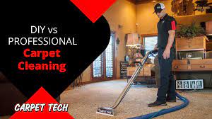 diy vs professional carpet cleaning