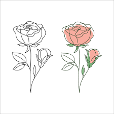 rose flower linear drawing decorative