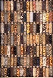 A seed bank (also seedbank or seeds bank) stores seeds to preserve genetic diversity; Organic Propagation Organic Seeds Organic Lawn Care Seed Storage