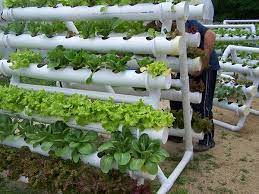 nft hydroponic gardening system for