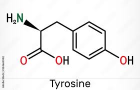 l tyrosine tyr c9h11no3 amino acid