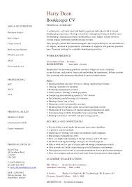 Health Care Resume Templates   Care assistant CV template  job description   CV example               