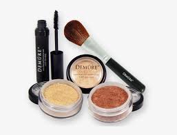 demure starter mineral makeup kit