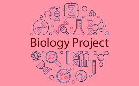 biology project for cl 11 top 50