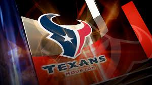 Image result for houston texans
