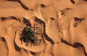 great oasis from desertification