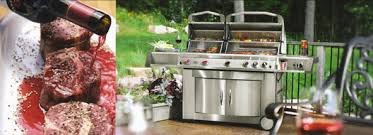 Gas Grills Earth Energy S Hearth Patio