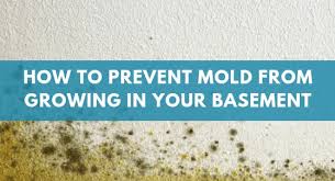 How To Prevent Mold From Growing In