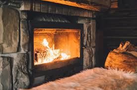 How To Keep Pests Out Of Your Fireplace