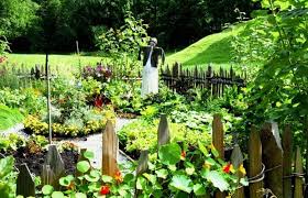 How To Start A Vegetable Garden With