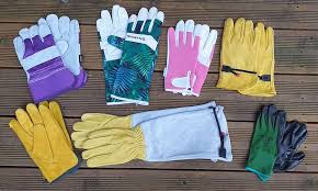Thorn Proof Gardening Gloves 2022