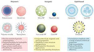 iron oxide nanoparticles