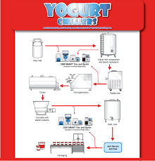Yogurt Process