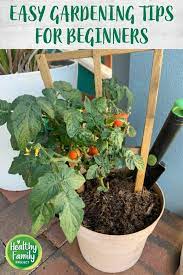 Gardening Tips For Beginners How To