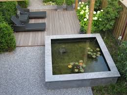 Garden Pond Design