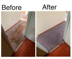 carpet cleaning couch cleaning tile