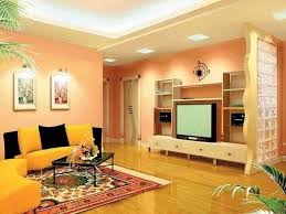 Living Room Color Combination Hall Colour