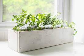 Beautiful Kitchen Herb Garden