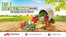Top 7 Vegetable Farming In April For Higher Yield & Profits