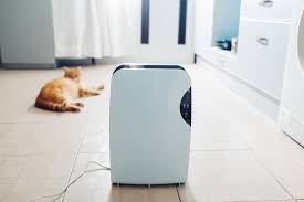 5 Best Whole House Dehumidifiers In