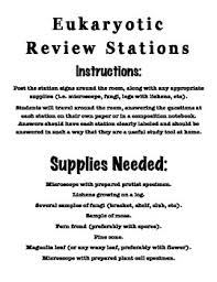 Biology Review Eukaryotic Kingdoms Look And Touch Stations With Answer Key