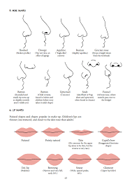 A Quick Lesson On Nose Shapes And Lip Shapes Nose Shapes