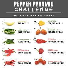 Hot Sauce Gift Set Pepper Challenge 10 Sauces From 10 Hot Peppers The Hottest Carolina Reaper 2 Million Scoville Units To The Mild Banana Pepper