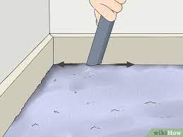 simple ways to clean carpet edges 11