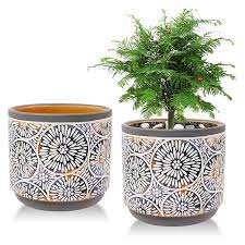 ceramic plant pots set with drainage