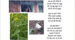 a rainy day essay for kids essay rainy day urdu homework help     Acid Rain Essay        words 