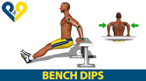 how to do triceps dips on bench you