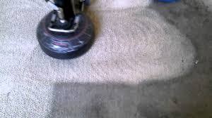 carpet cleaning northern va list