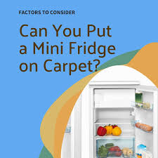 can you put a mini fridge on carpet