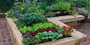 Plant Combo Designs For Raised Beds