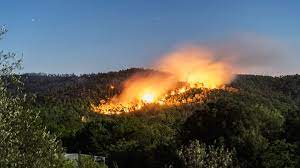 Incendies et feux de forêt, dossier complet - Prévention Incendie Forêt
