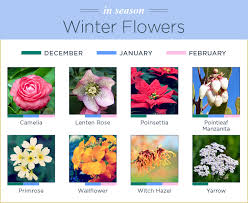 What Flowers Are In Season Ftd Com
