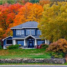 National chain nurseries and home improvement stores don't necessarily understand the climate and conditions in connecticut, so. Best Fall Trees In Connecticut Naturally Green Lawn Care