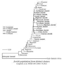 the genetic origins of ashke jews