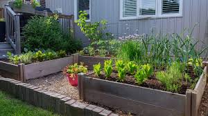 Square Foot Gardening Pros And Cons