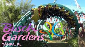 roller coasters of busch gardens ta