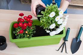 Get Ready For Spring Gardening With